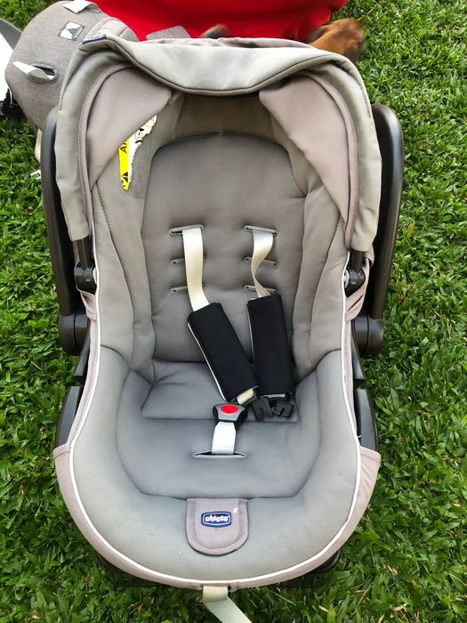 Ovo para bebê transporte