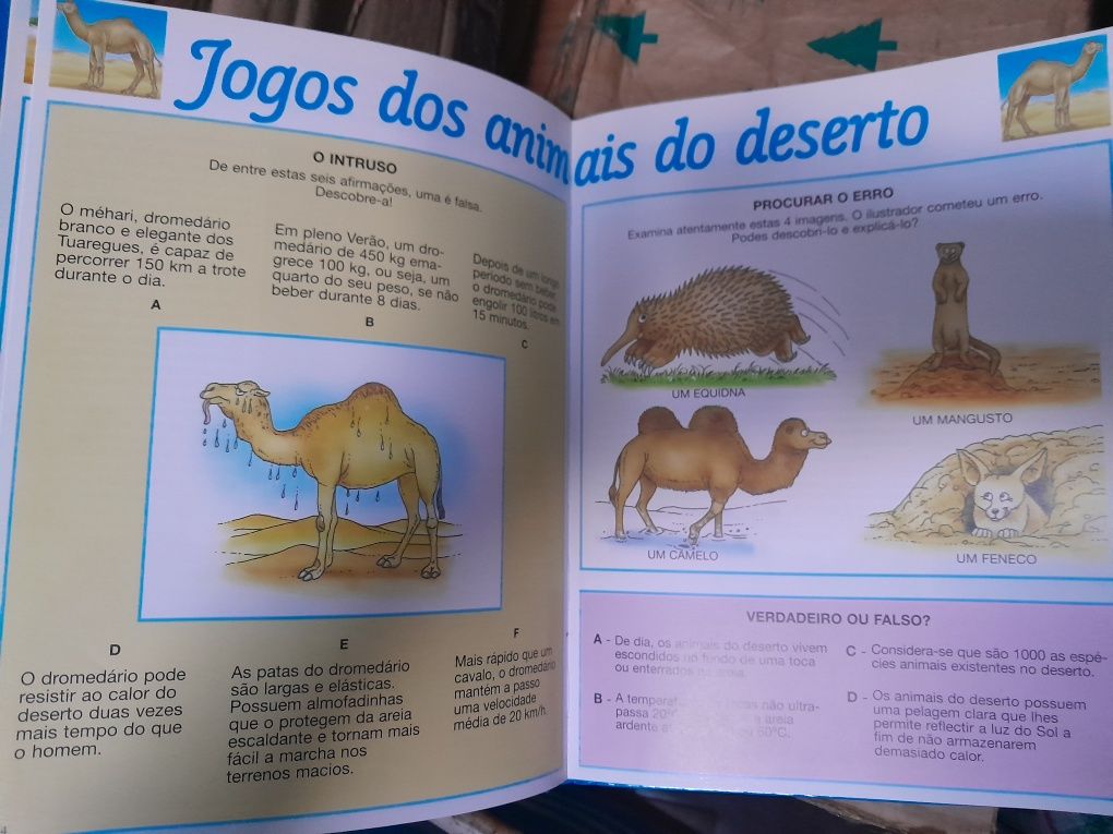 Dicionário infantil sobre animais e jogos