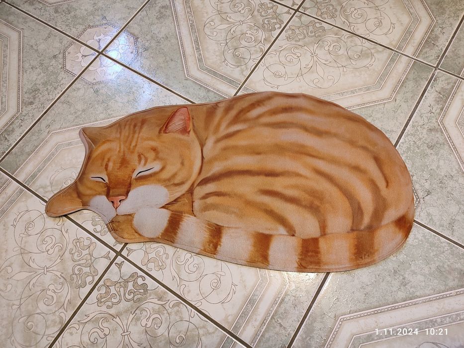 Nowy dywan do pokoju dziecięcego Kot rudy