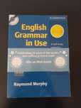 English Grammar in Use Raymond Murphy