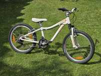 Alu. 20" SPECIALIZED dziecięcy