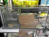 Akwarium 80x35x40 nowe - AquaSzop