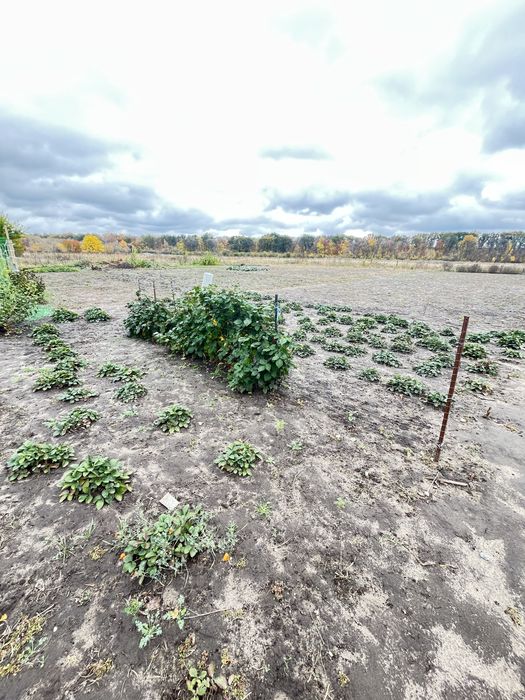 Продаж дачного будинку у Новій Водолазі