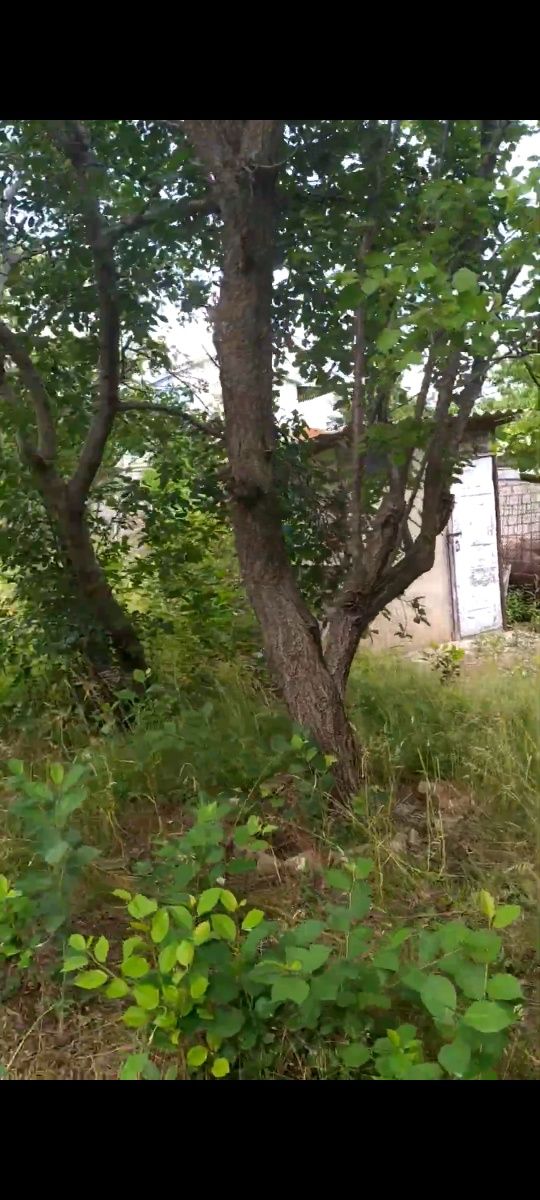 Дача продам або обміняю на автомобіль