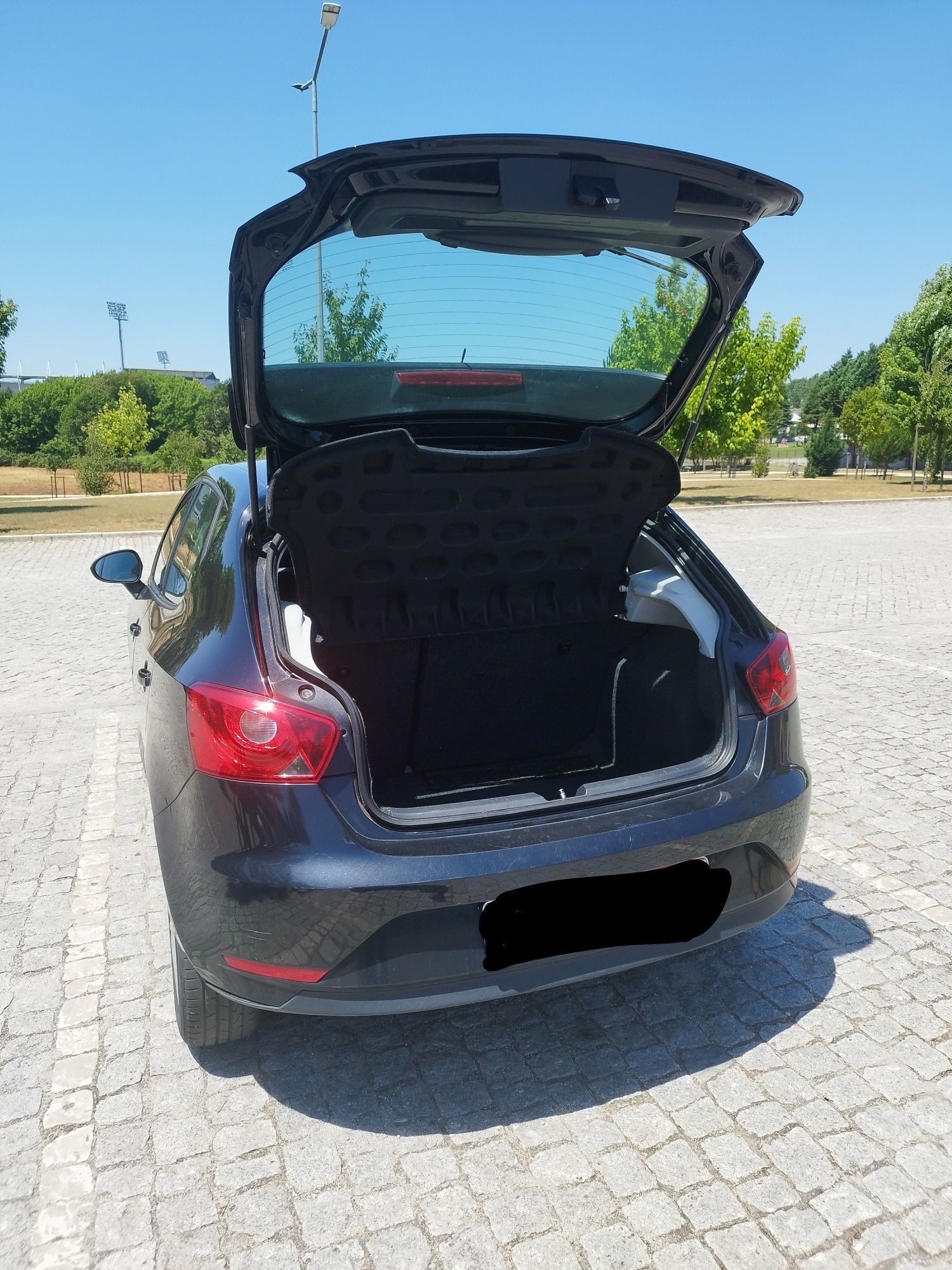 SEAT Ibiza ecomotive 2012