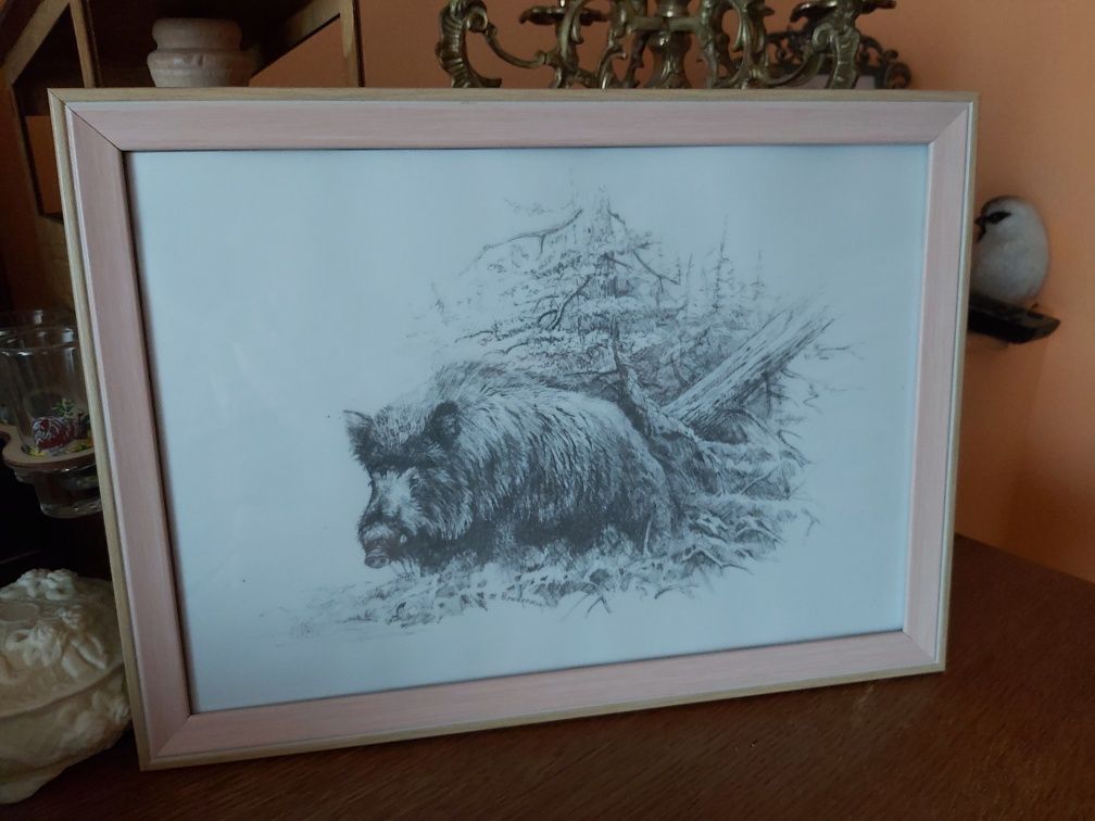 Odyniec dzik Grafika myśliwska łowiecka polowanie A4.