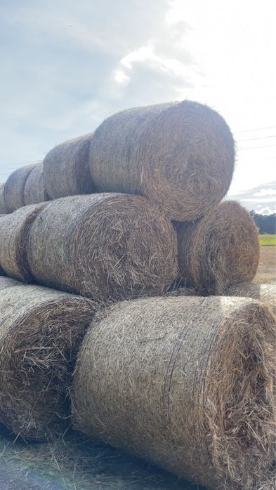 sprzedam słome i siano
