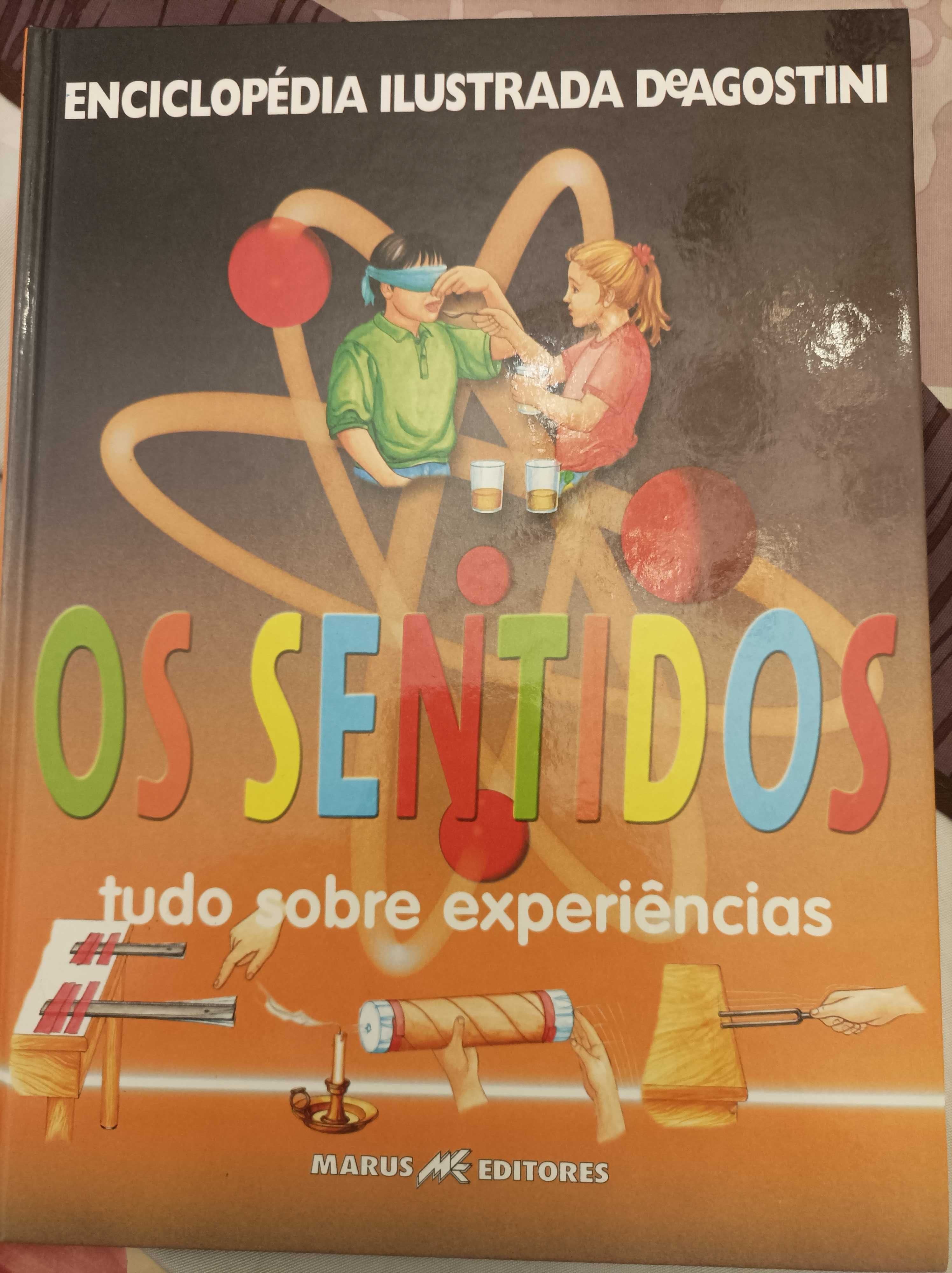 Enciclopédia Ilustrada De Agostini