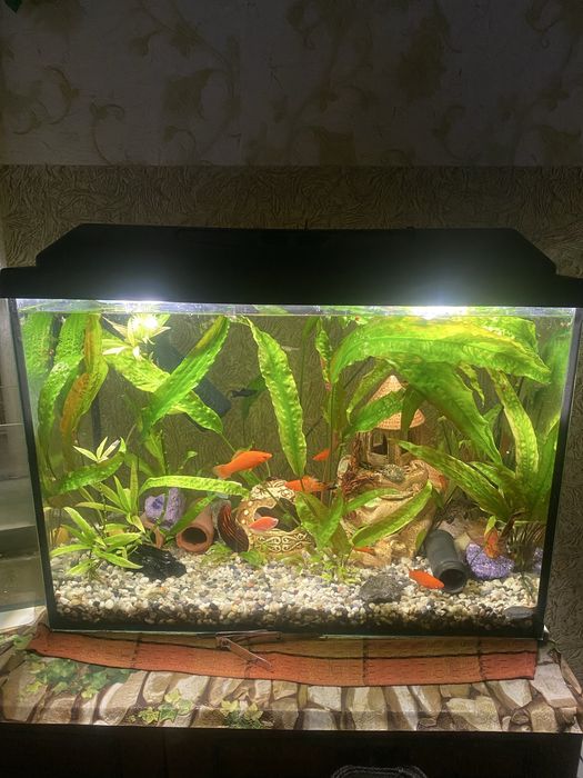 Акваріум на 75.л в ідеальному стані