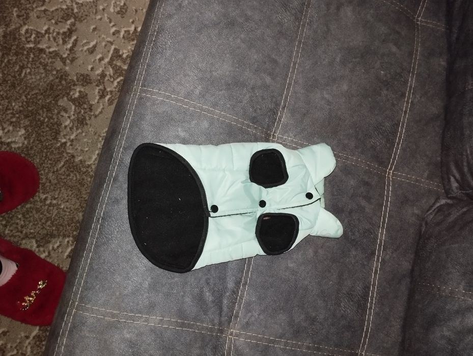 Одяг для собак розмір м