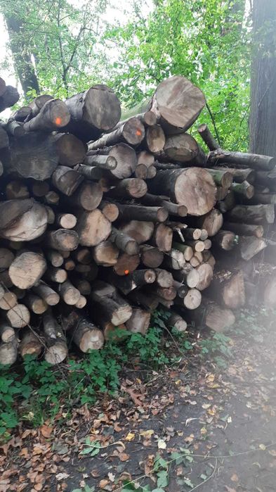drewno kominkowe, opałowe : (dąb, jesion, buk) kłody z dostawą