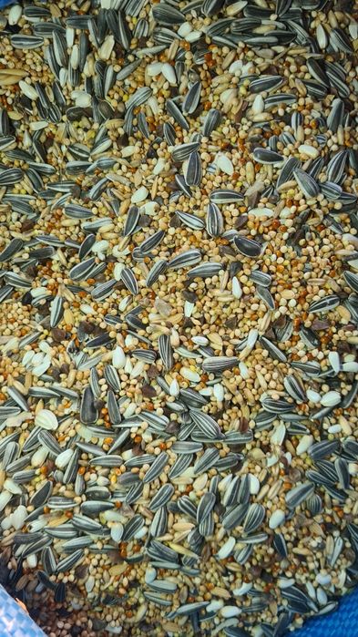 Mieszanka dla papug średnich. Bez sorga, pszenicy i kukurydzy (20kg)