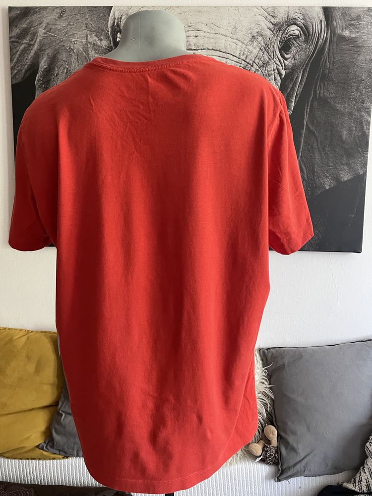 Arc’teryx Men t-shirt size L, 100% Cotton