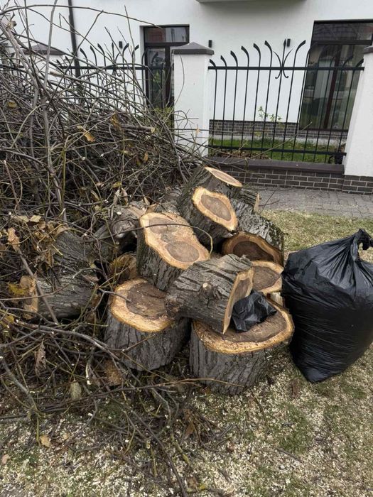 Безкоштовно віддам на дрова дерево разом з гілками