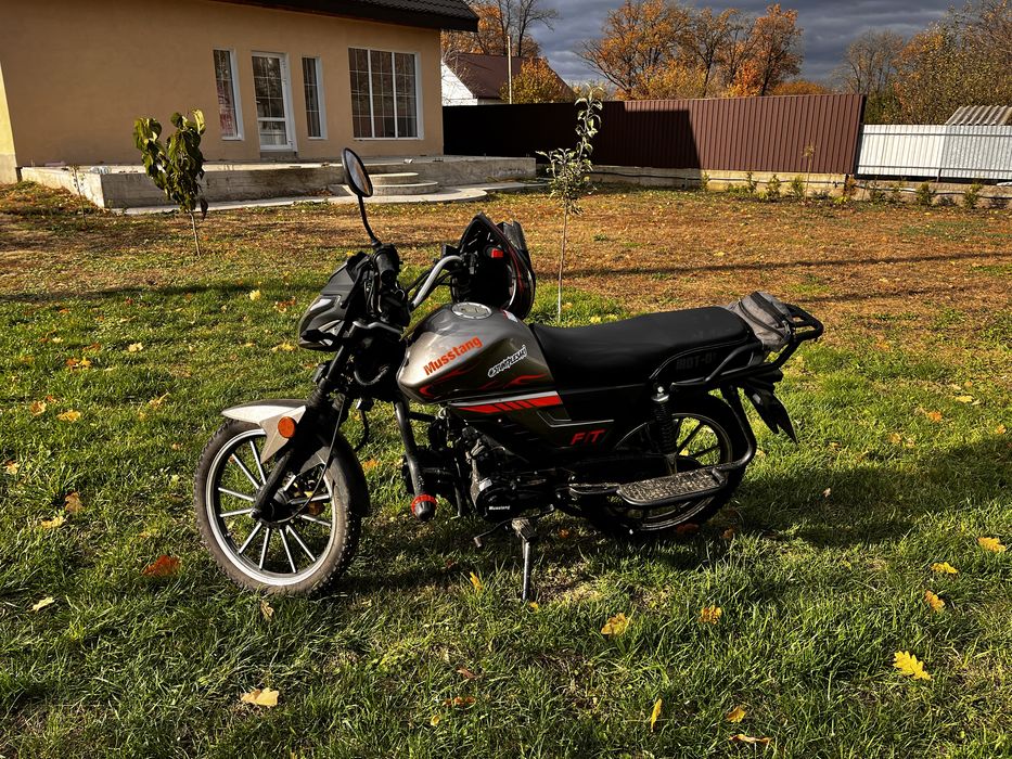 Mustang fit 2 125 2024