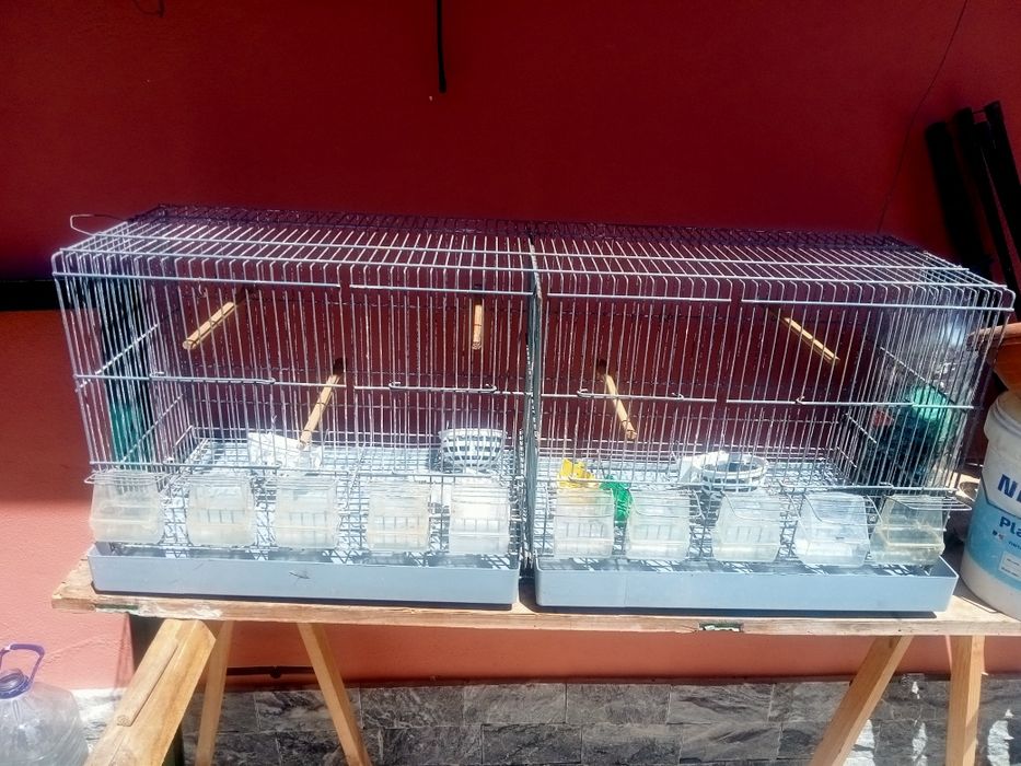 Gaiola Viveiro com todos os apetrechos.