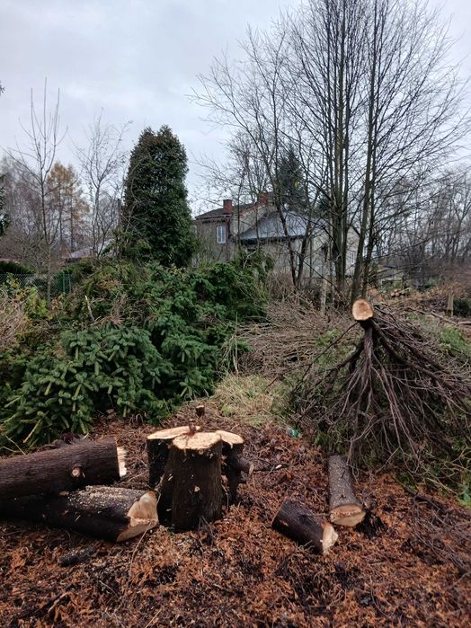 Wycinka drzew zrebkowanie