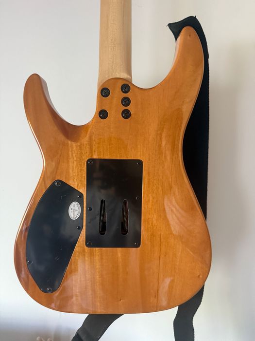 SCHECTER - C-6 Pro FR Aurora Burst