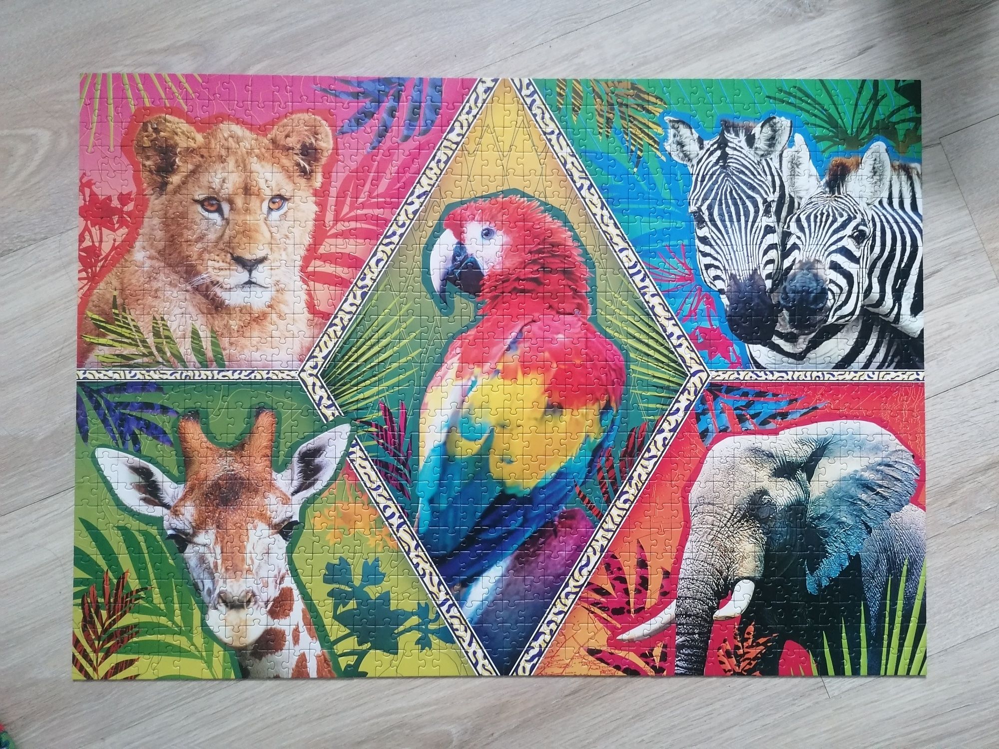 Puzzle 1000 Animal Planet Trefl zwierzęta zebry papuga lew słoń