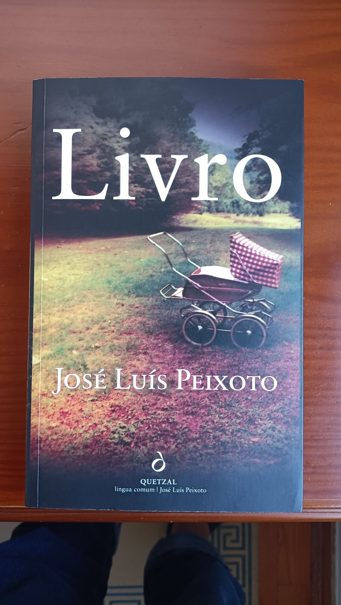 José Luís Peixoto - Livro