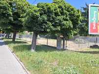 Sprzedam działkę budowlaną na Radziwiu  496m2