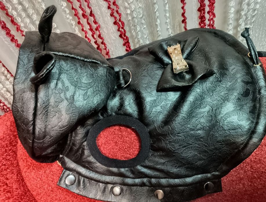 Одяг для собак та котів