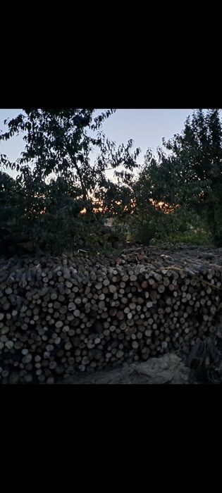 Drewno okragalki dębowe