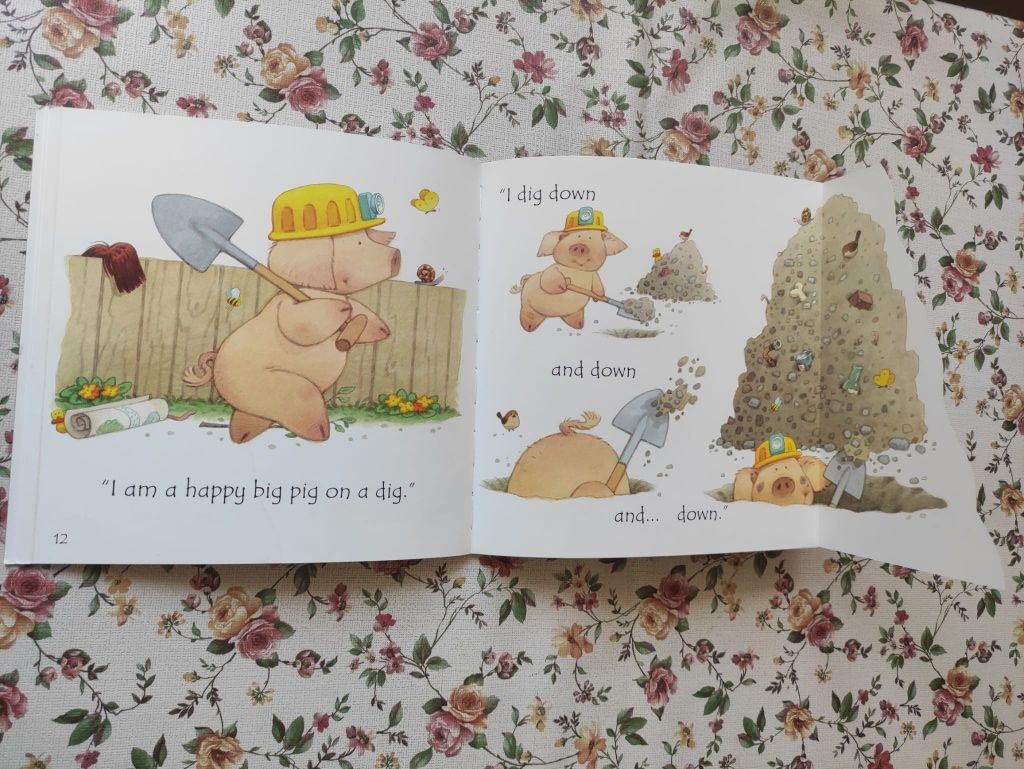 Zestaw 12 książek Phonics Readers Usborne po raz