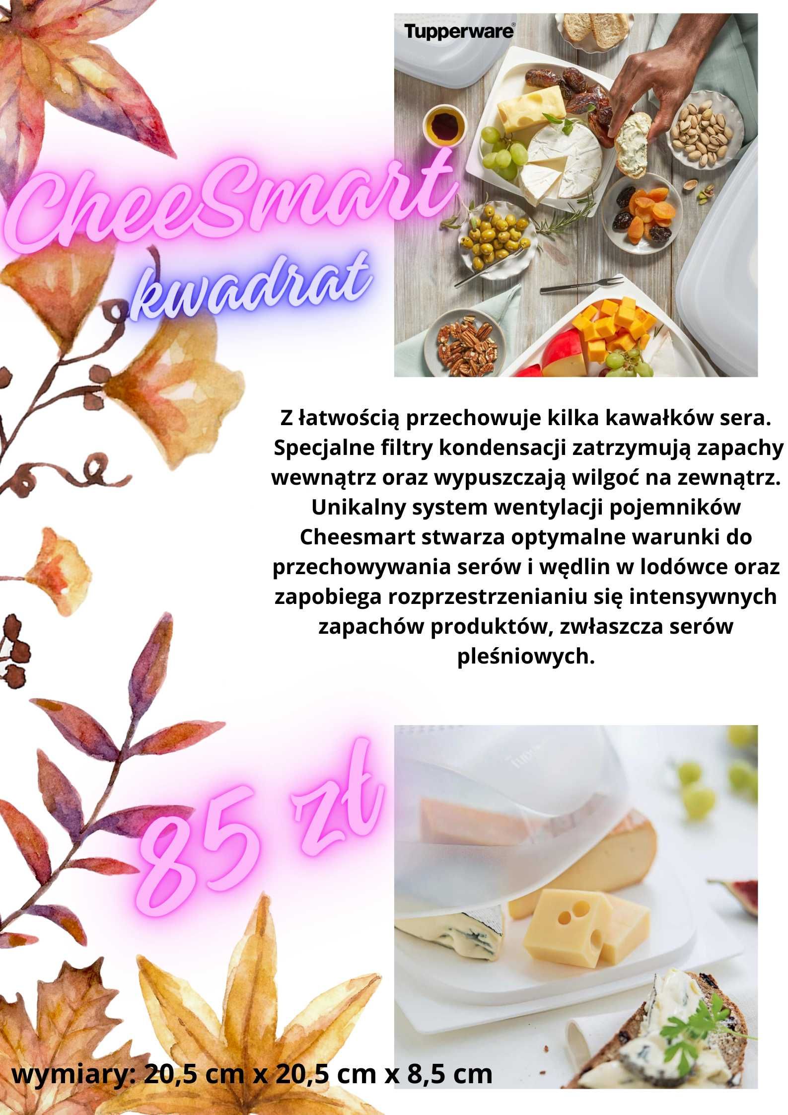 Cheesesmart kwadrat Tupperware