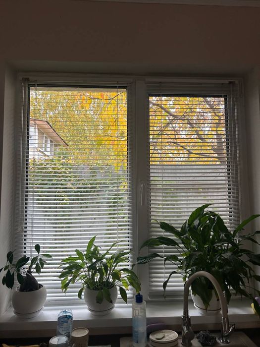 Жалюзі, ролети білі