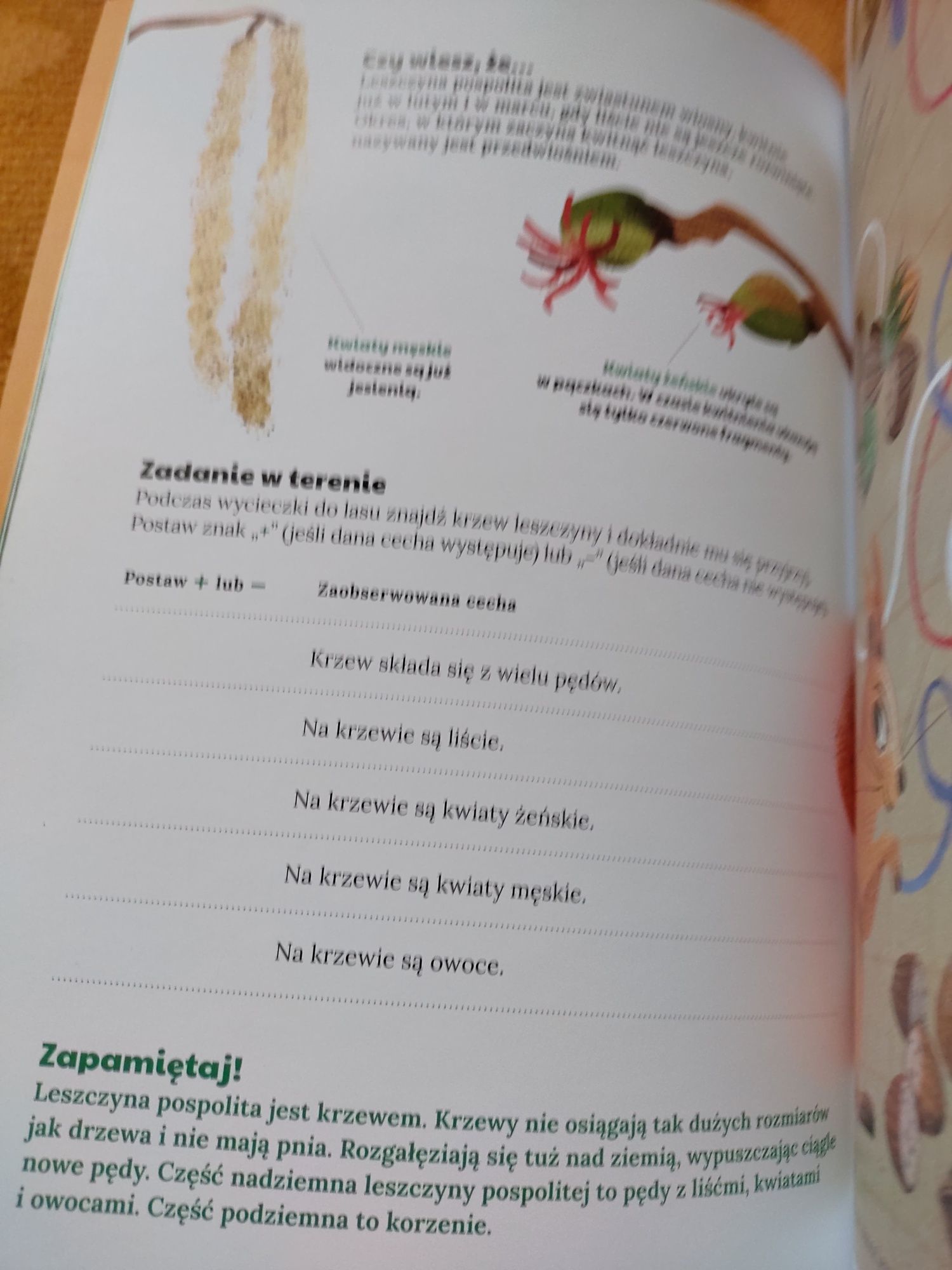 Książka z naklejkami Mój atlas roślin polski
