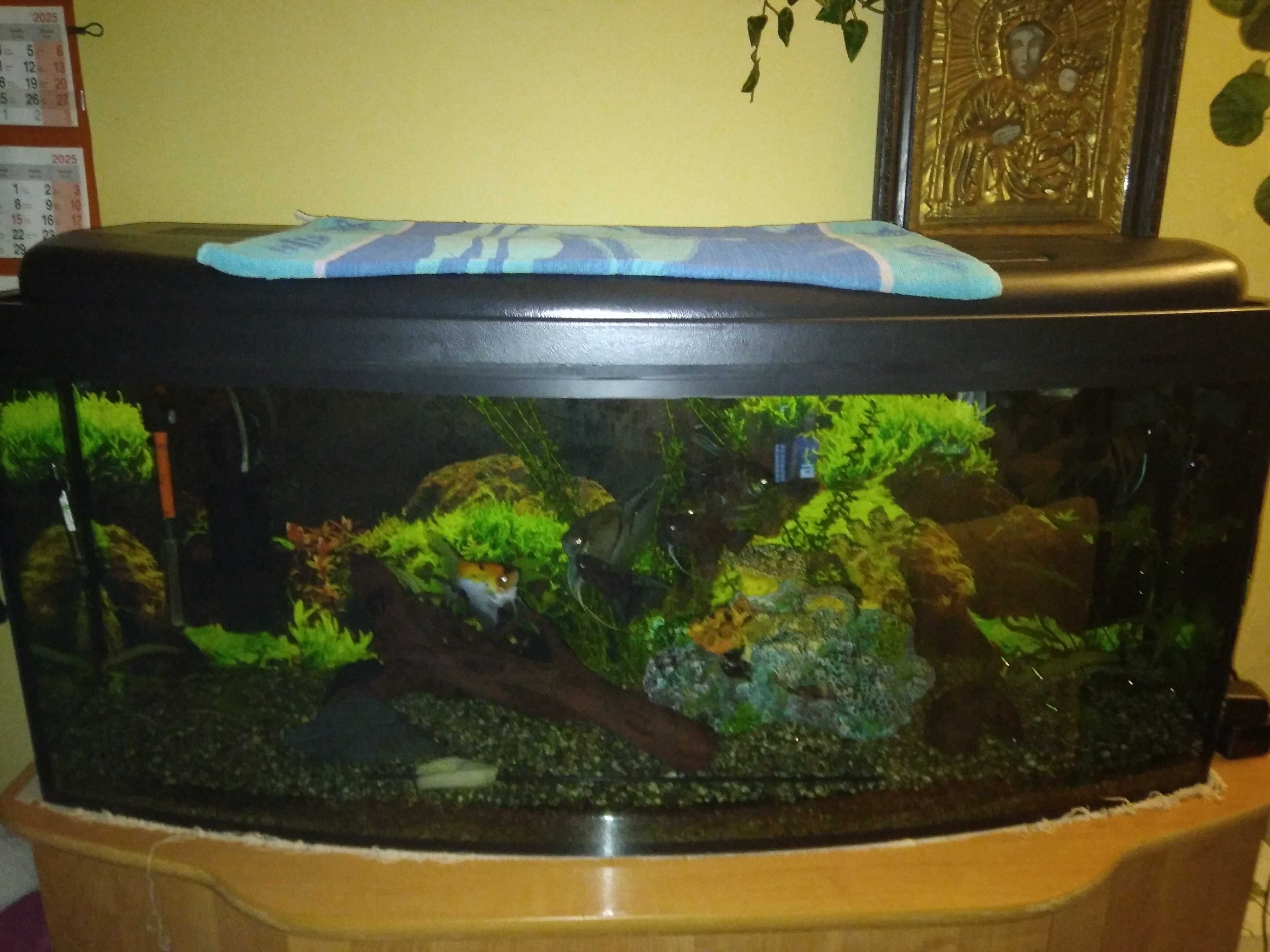 akwarium profilowane 120cmx50 cm około 200;itrów