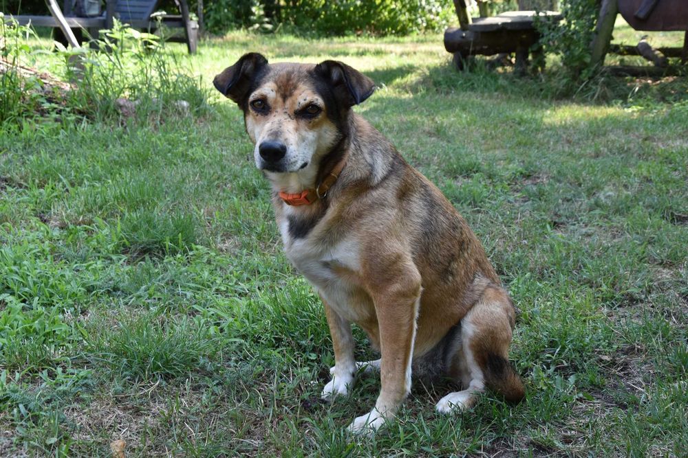 Ona i On,  żyć bez siebie nie mogą. Szukamy wspólnego domu