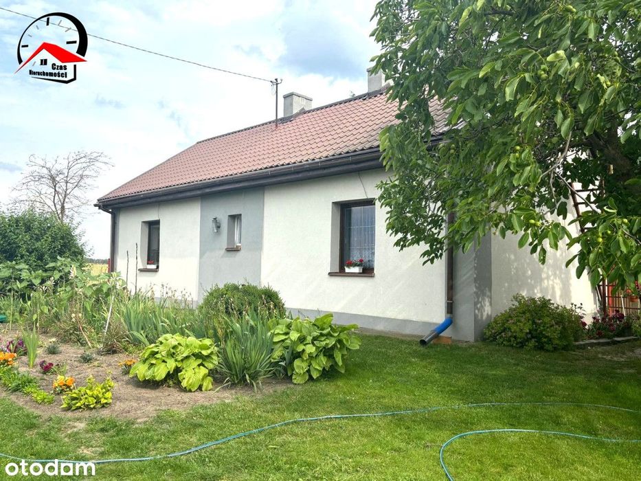 Uroczy dom na Wsi 7 km od Piotrkowa Kujawskiego