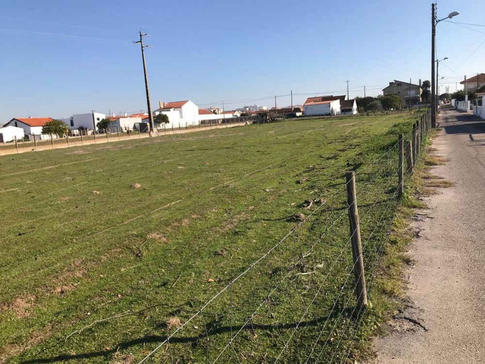 Terreno com 12000m2 nas  fazendas de almeirim