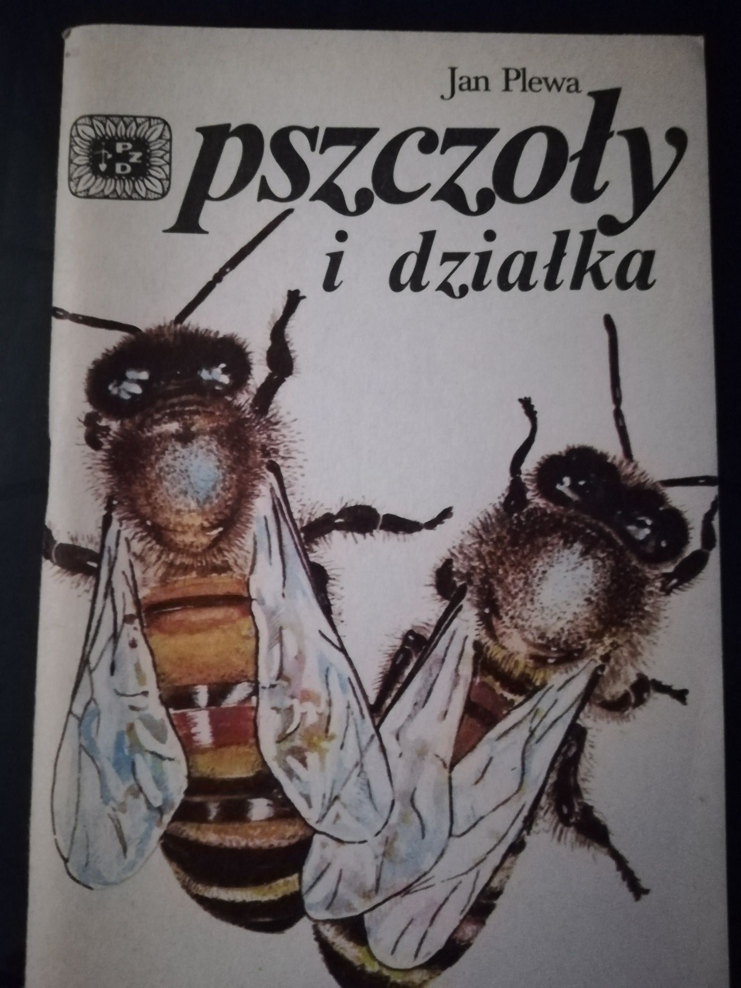Pszczoły i działka Jan Plewa