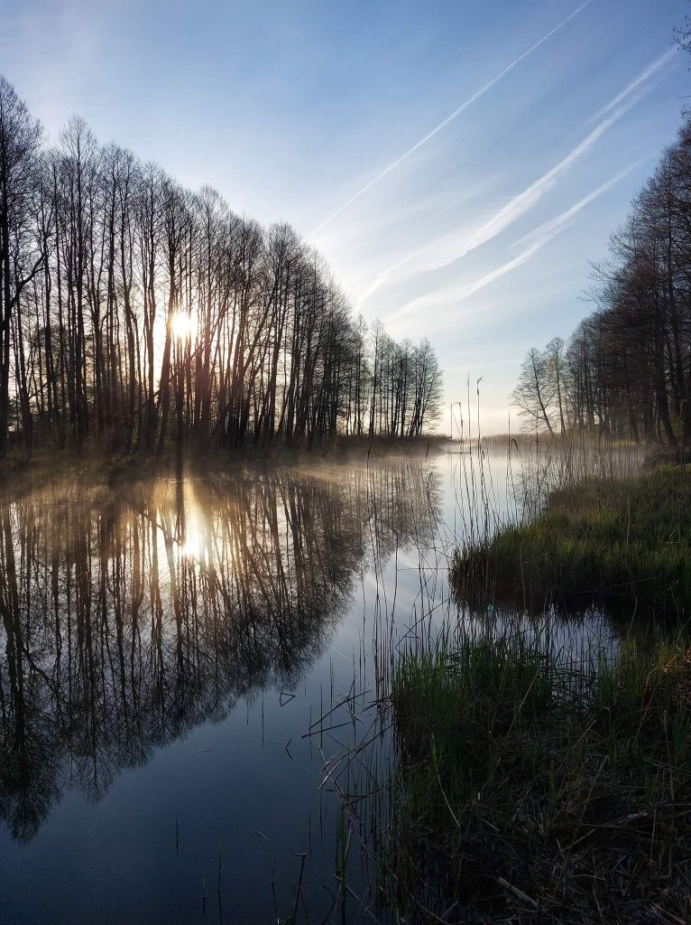 Domek do wynajęcia Łosiówka nad Sapiną