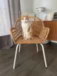 Krzesło rattan IKEA NILSOVE