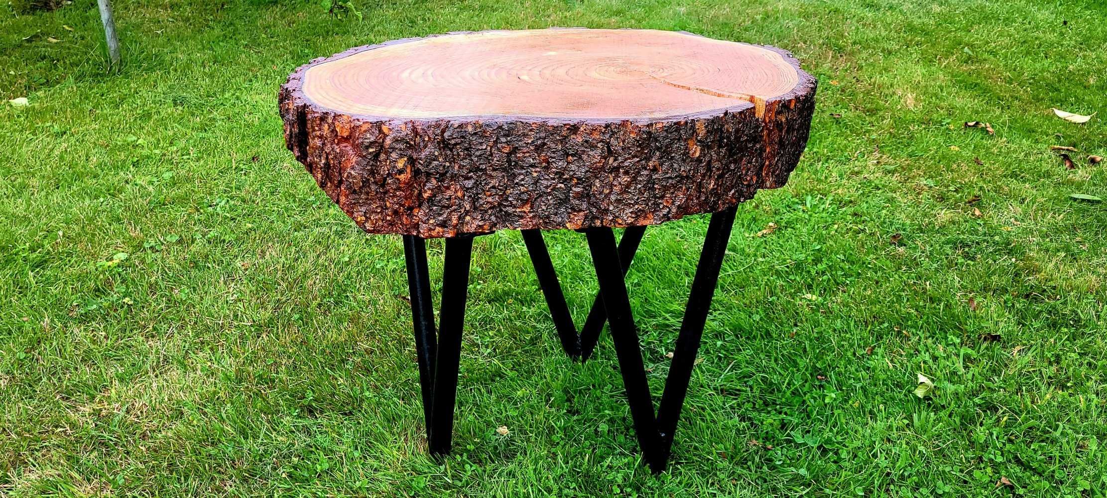 Stolik kawowy z pnia Modrzewiu, Blat, Ława, Plaster, live edge