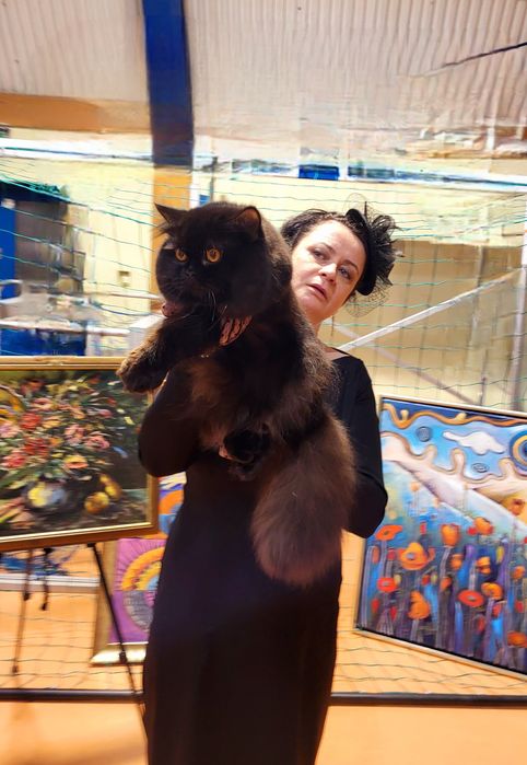 Zwisłouchy kocurek z rodowodem WCF