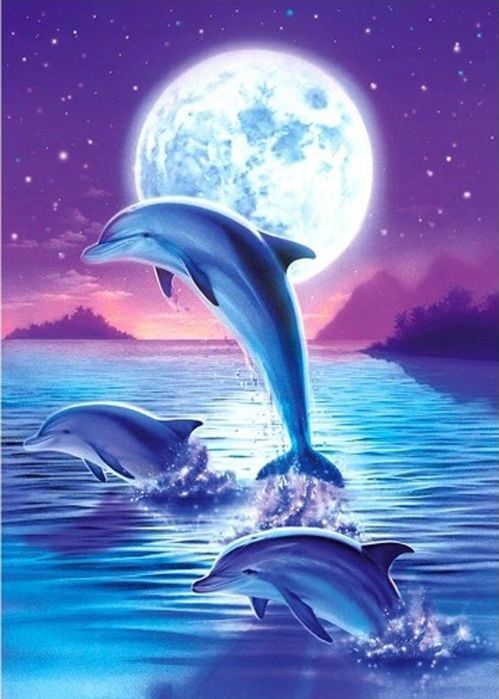 Malowanie po Numerach Delfin Delfiny Księżyc Obraz z Ramą