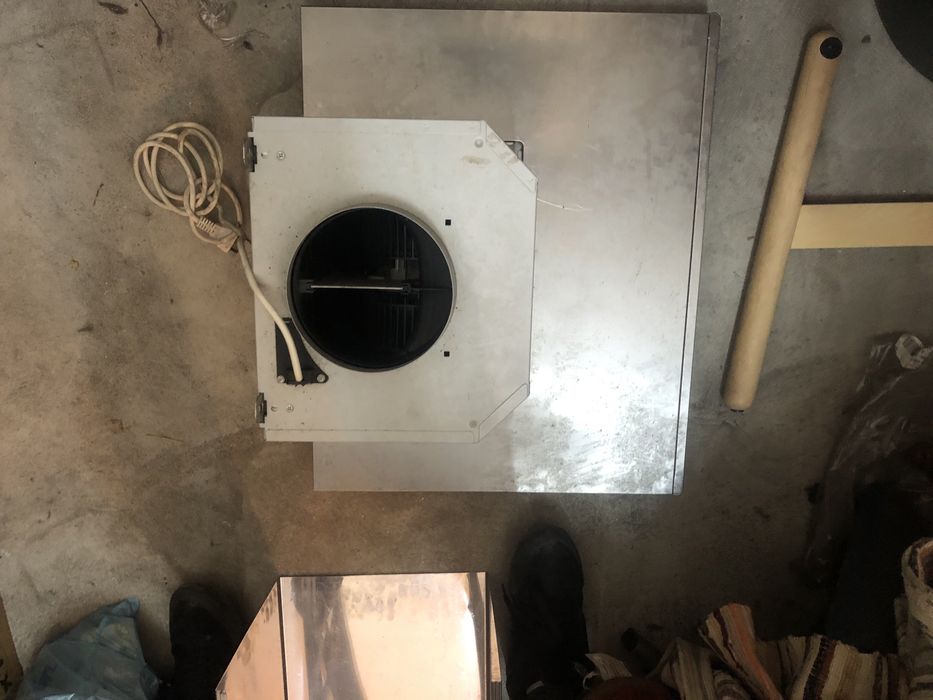 Exastor pequeno bom estado