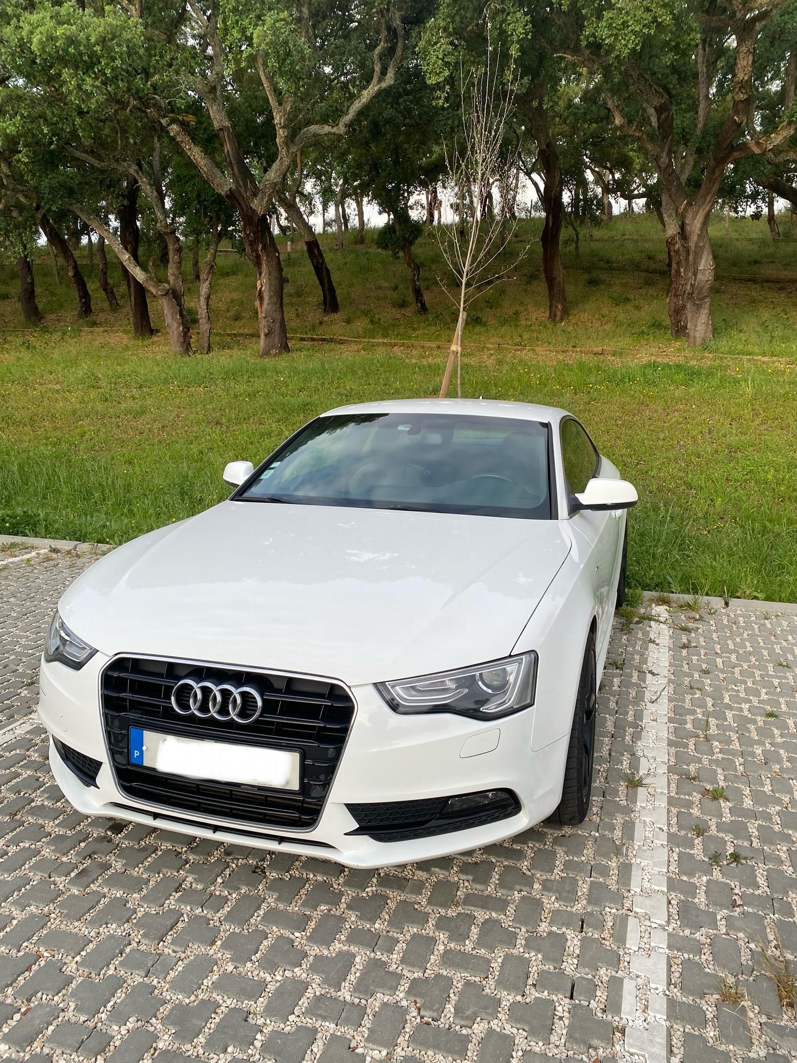 Audi A5 coupe S line