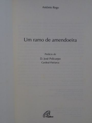 Um Ramo de Amendoeira de António Rego - Vários Livros