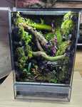 Tropikalne terrarium 40x40x60