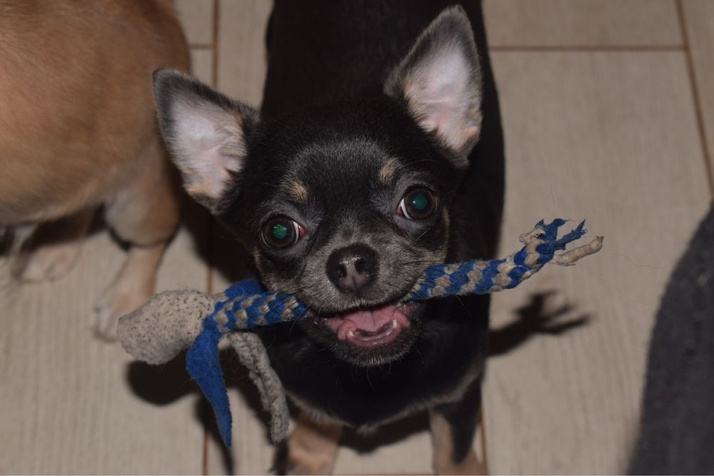 Красивая девочка Бася