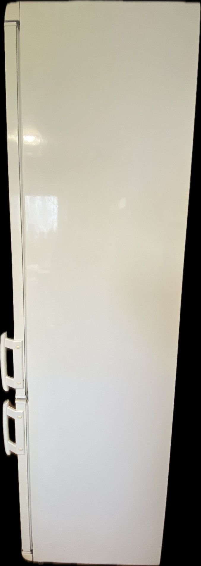 Холодильник Electrolux ERB 4042, 2-х компресорний