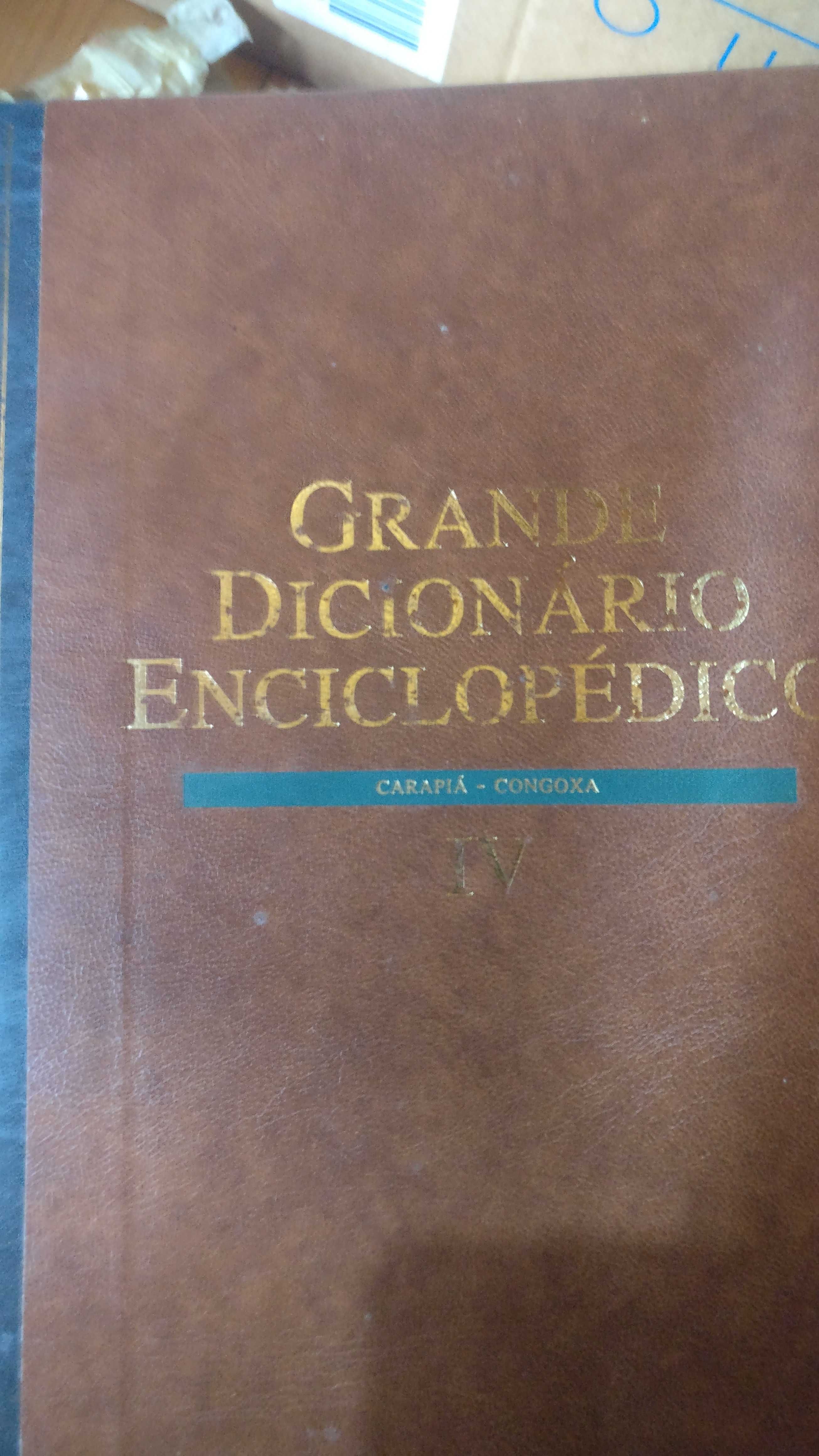 Dicionário enciclopédico 16 volumes