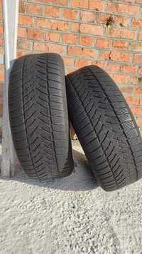 Автогума Dunlop Winter sport 5 255/55R19