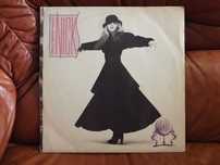 Vinil LP de Stevie Nicks "Rock a Little"